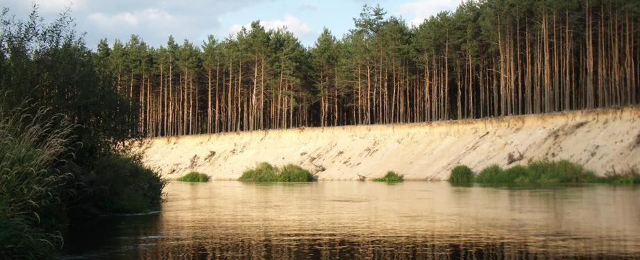 Domki Nad Pilica Krzetow Kültér fotó
