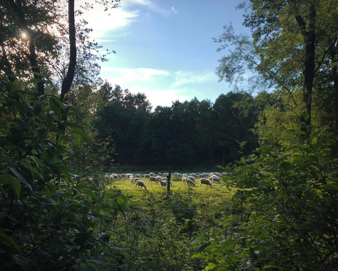 Domki Nad Pilica Krzetow Kültér fotó