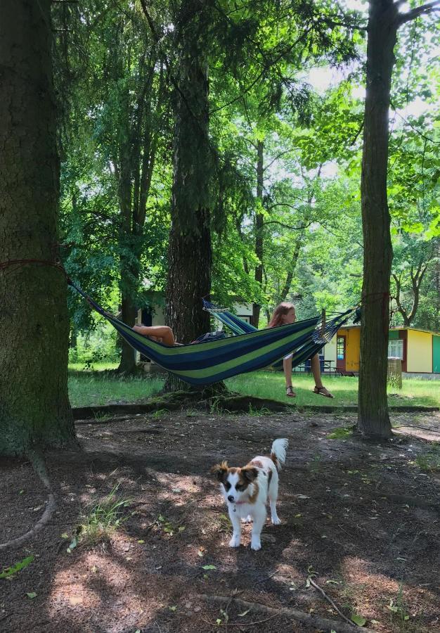 Domki Nad Pilica Krzetow Kültér fotó