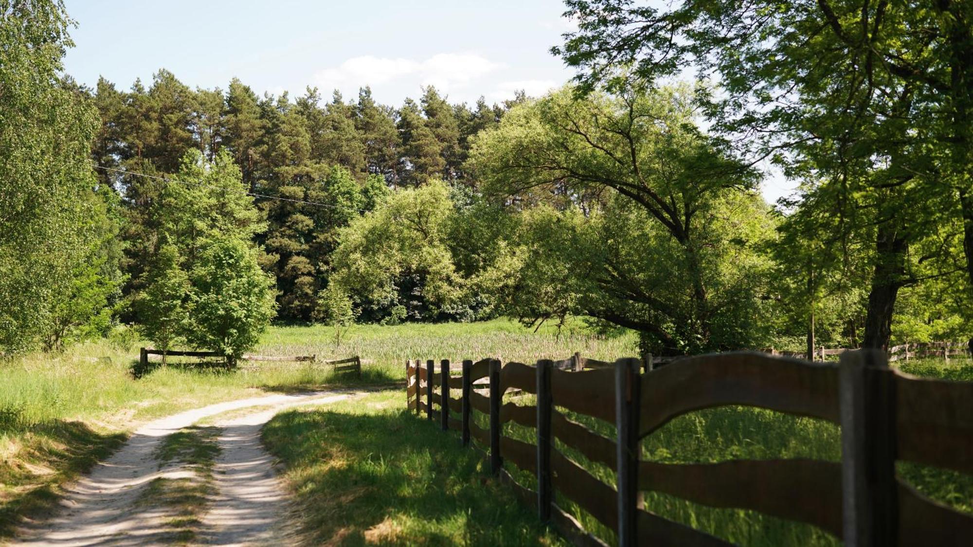 Domki Nad Pilica Krzetow Kültér fotó