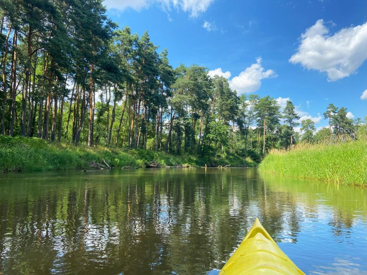 Domki Nad Pilica Krzetow Kültér fotó